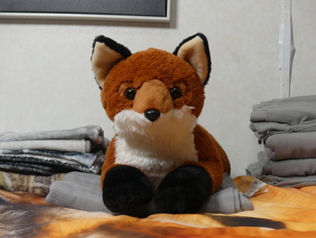 Unnamed 19 (Red Fox, Aurora)